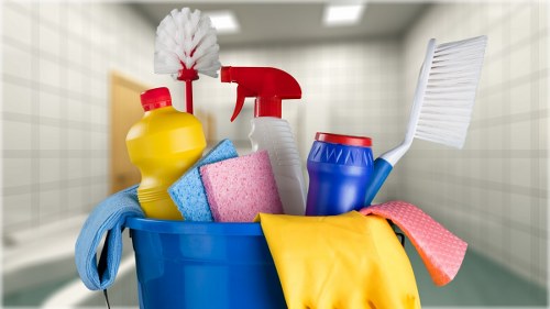 Professional end of tenancy cleaning for a Harringay rental property