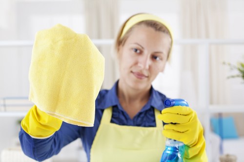 Professional upholstery cleaning for sofas in Harringay homes