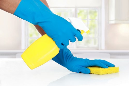Detailed final clean in a Harringay rental property