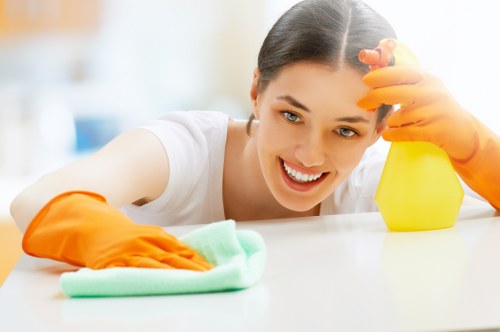 Preparation for a deep clean visit in Harringay homes