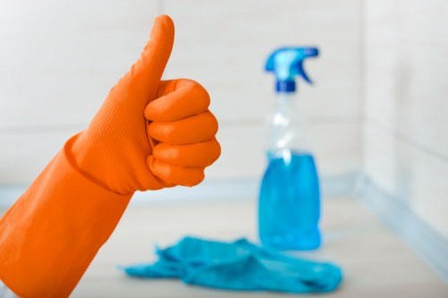 Professional window cleaning for Harringay homes and terraces
