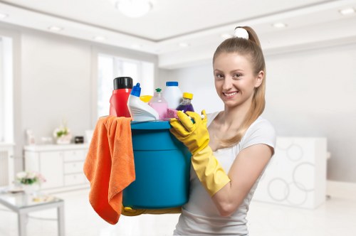 How professional rug cleaning works in a North London property