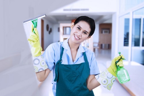 Thorough post-renovation cleaning of windows, skirting, and surfaces in Harringay