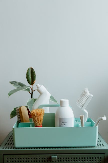 A pale green plastic storage container filled with household cleaning and hygiene items, placed on a textured grey surface against a plain light grey wall. Inside the container, there's a white bottle labeled 'Laundry Liquid', a white cleaning brush with bristles facing upward, a wooden-handled scrub brush with orange bristles, a white spray bottle, and a white toothbrush. Behind the container, a green leafy plant adds a touch of natural decor. The surfaces appear clean and organized, reflecting a tidy space suitable for domestic cleaning and surface maintenance, managed by Carpet Cleaners Harringay as part of their top end of tenancy cleaning services for Green Lanes Harringay.